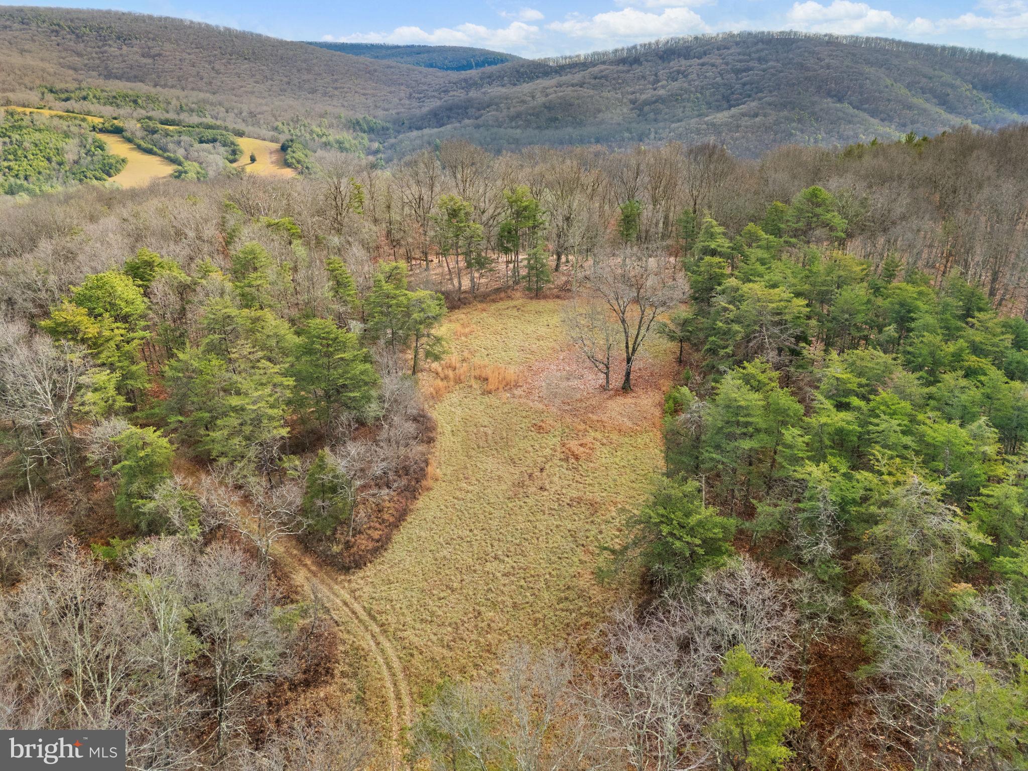 10500 Ford Hill Road Rio, WV 26755 - Photo 52 of 59 a view of a lake view