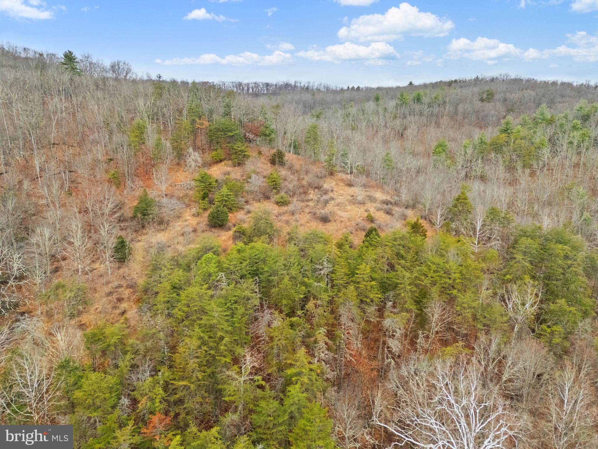 10500 Ford Hill Road Rio, WV 26755 - Photo 53 of 59 a view of lake and mountain