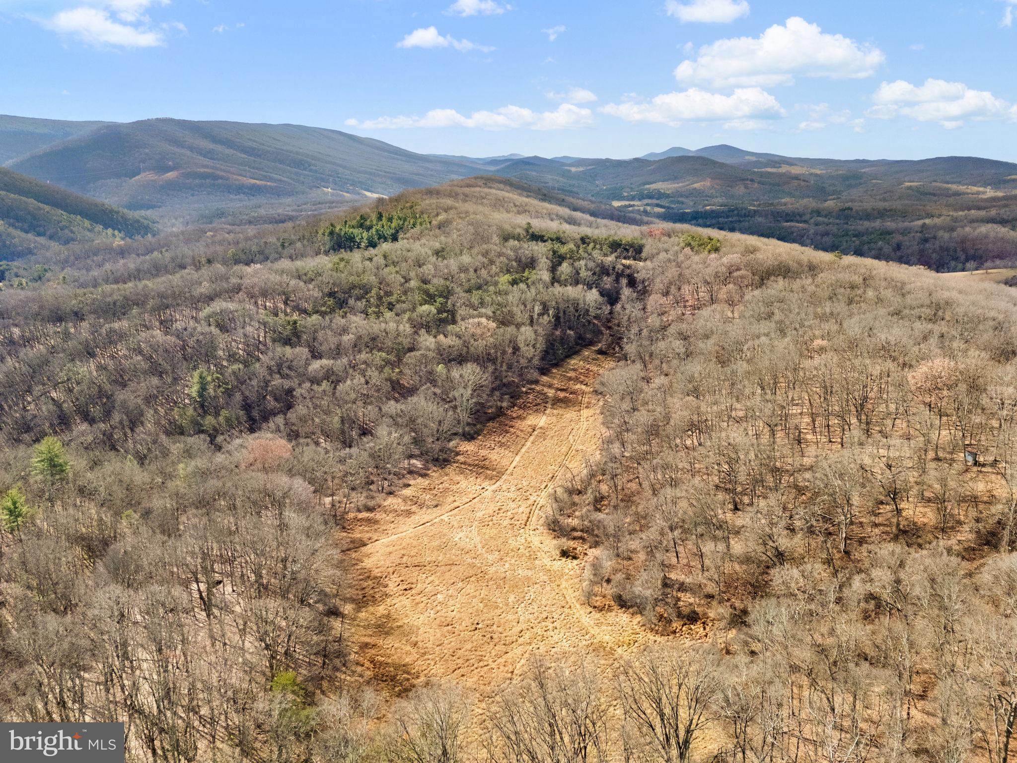 10500 Ford Hill Road Rio, WV 26755 - Photo 55 of 59 Features a mix of woods, trees & open space