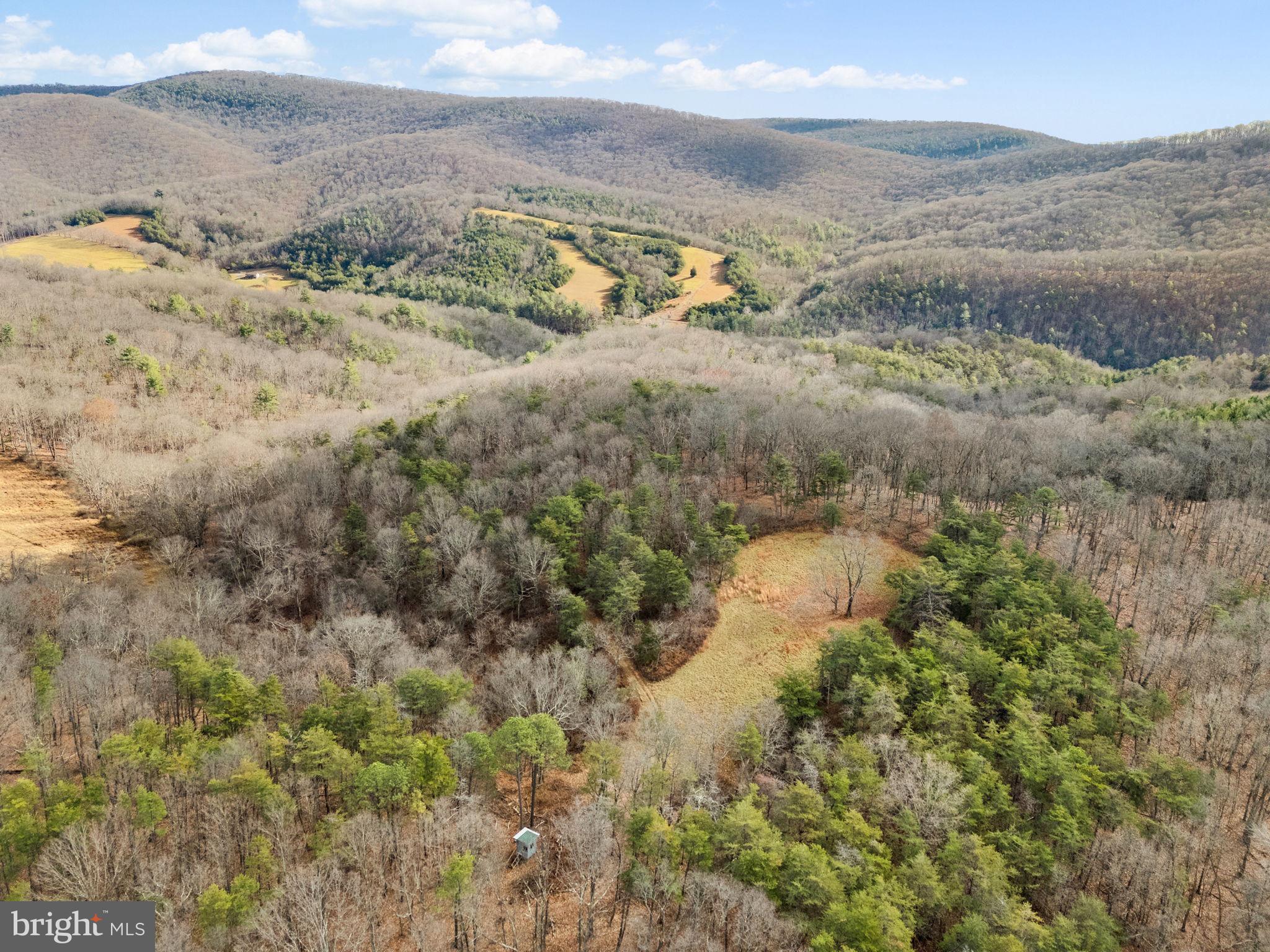 10500 Ford Hill Road Rio, WV 26755 - Photo 57 of 59