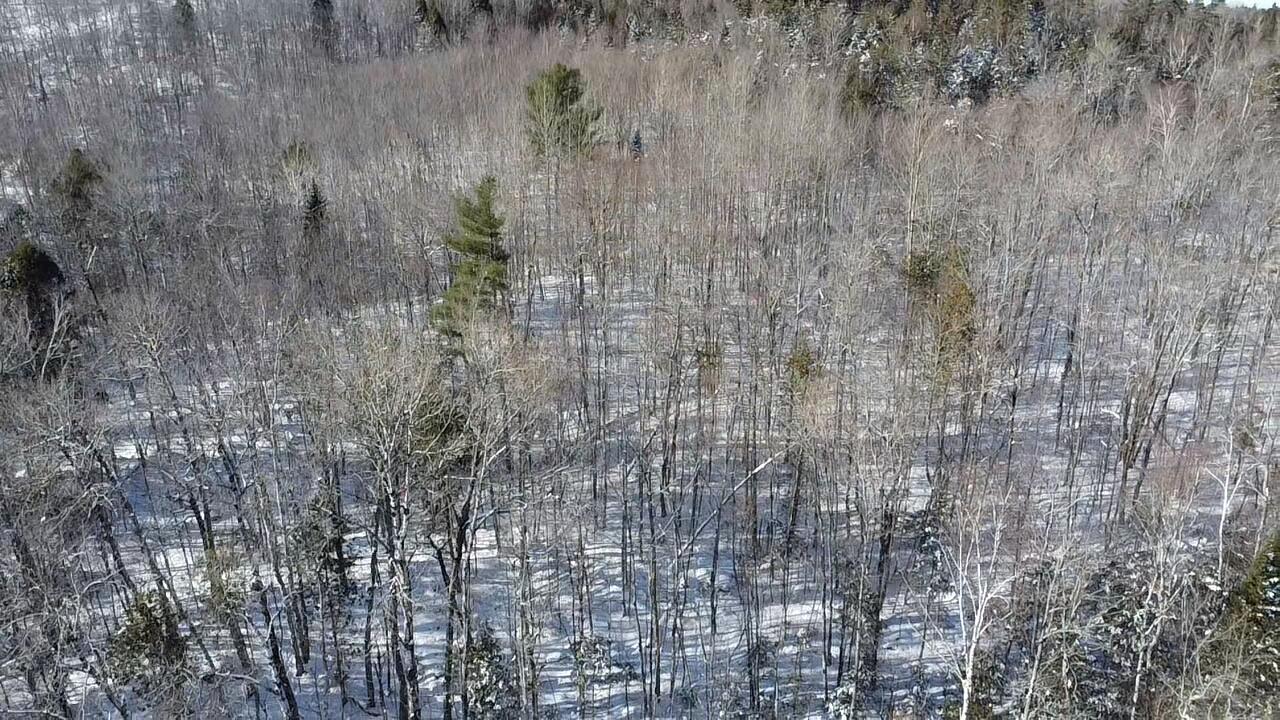 Lot 7 Curtis Farm Road Lincoln, ME 04457 - Photo 14 of 21