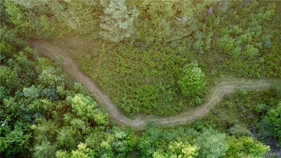 0 Burns Trail Halifax, VA 24558 - Photo 17 of 50 a view of a lush green forest with a street