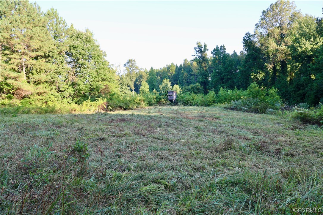 0 Burns Trail Halifax, VA 24558 - Photo 27 of 50 a big yard with lots of green space