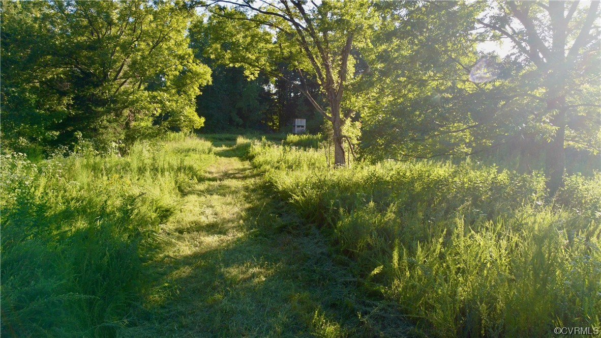 0 Burns Trail Halifax, VA 24558 - Photo 33 of 50 a view of yard