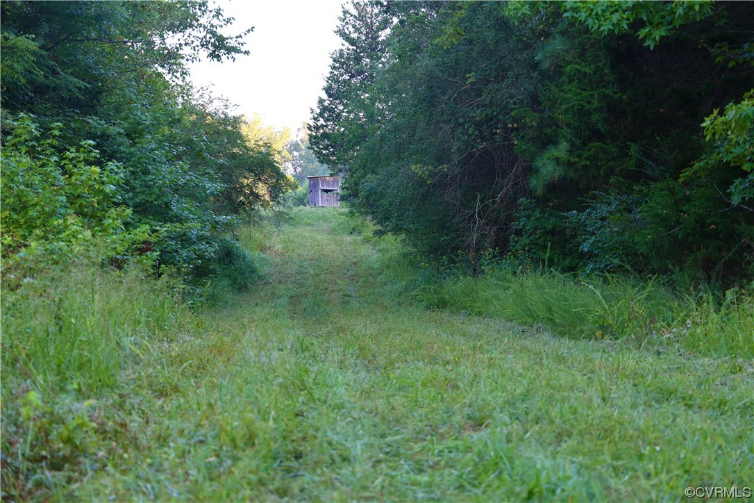 0 Burns Trail Halifax, VA 24558 - Photo 44 of 50 a view of a lush green space