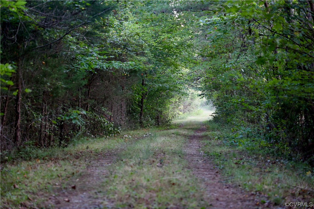 0 Burns Trail Halifax, VA 24558 - Photo 5 of 50 a view of a forest with trees in the background