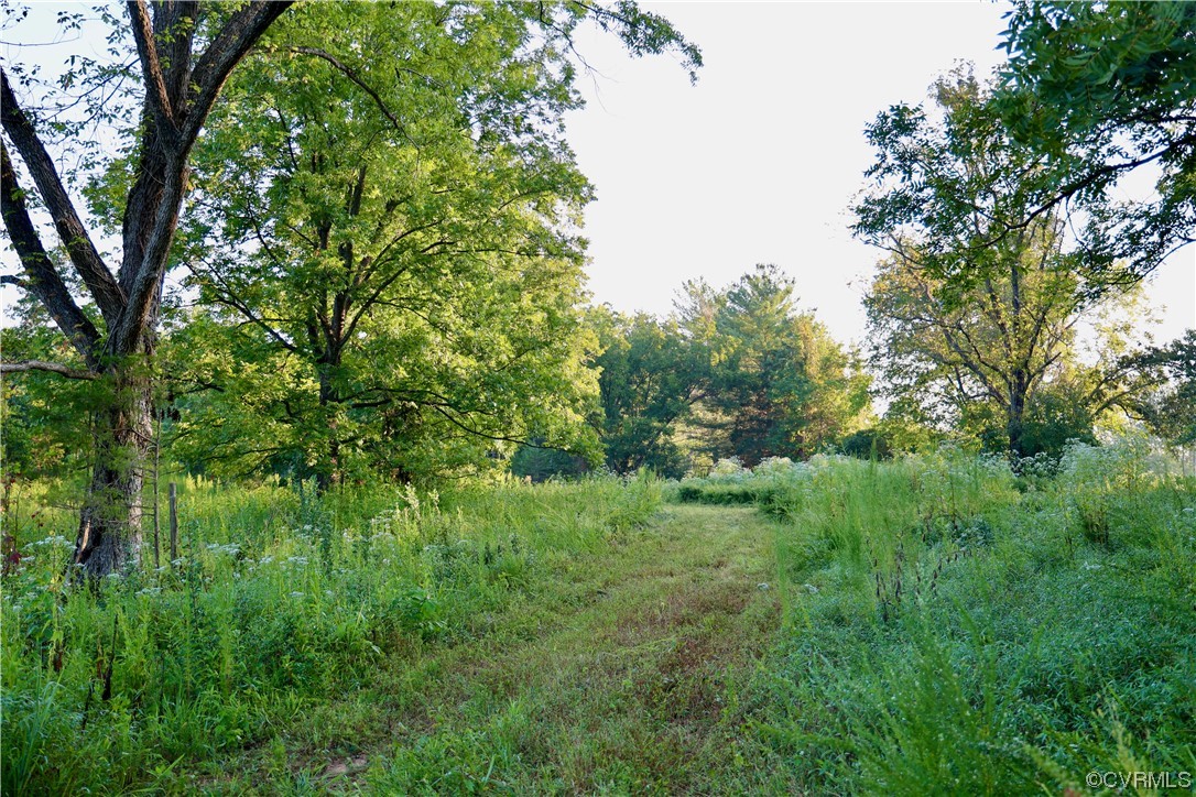 0 Burns Trail Halifax, VA 24558 - Photo 9 of 50 a view of a lush green space