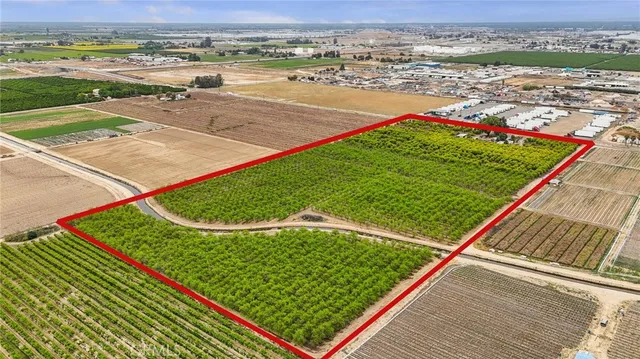 an outdoor space with lounge chair
