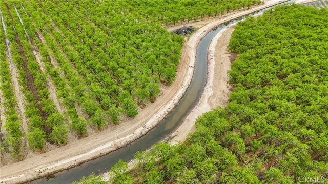a view of a garden with a flower garden