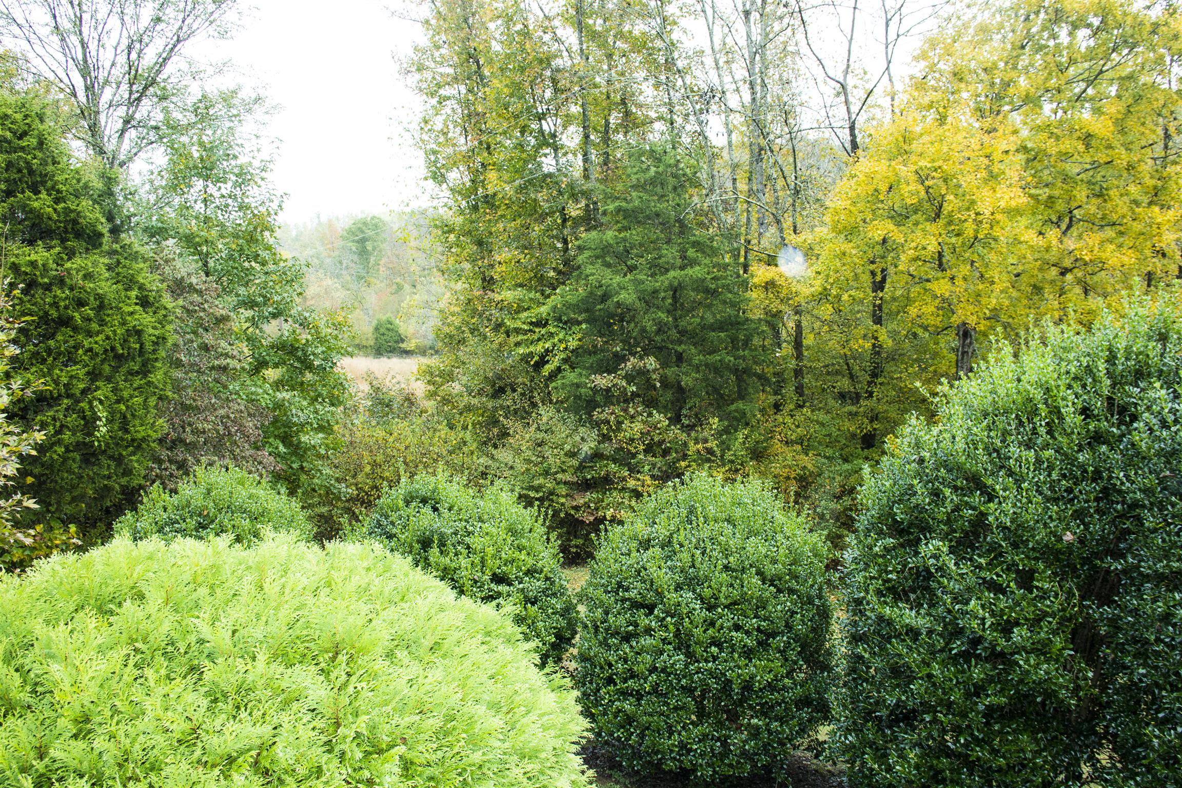 185 Duncan Road Hohenwald, TN 38462 - Photo 27 of 27 Gallery Image 27
