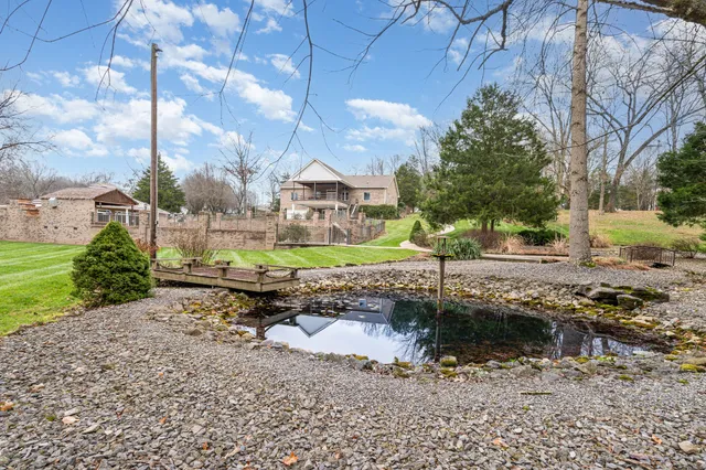 a view of a yard with plants and trees