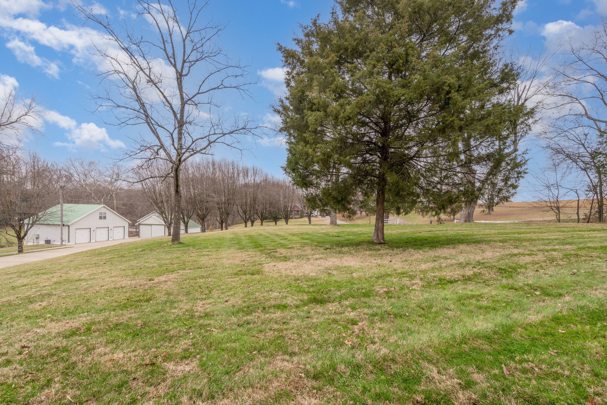 5827 Highway 76 East Springfield, TN 37172 - Photo 50 of 77 a view of a field with trees