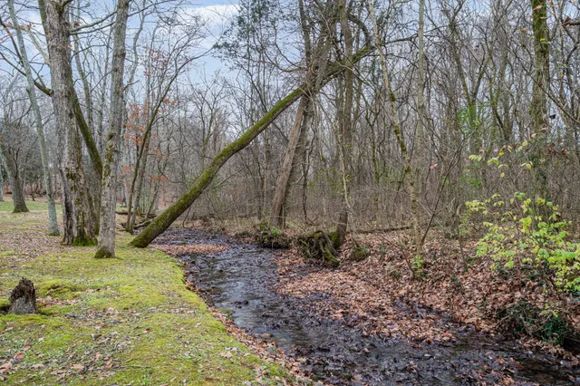 a view of a lake with houses