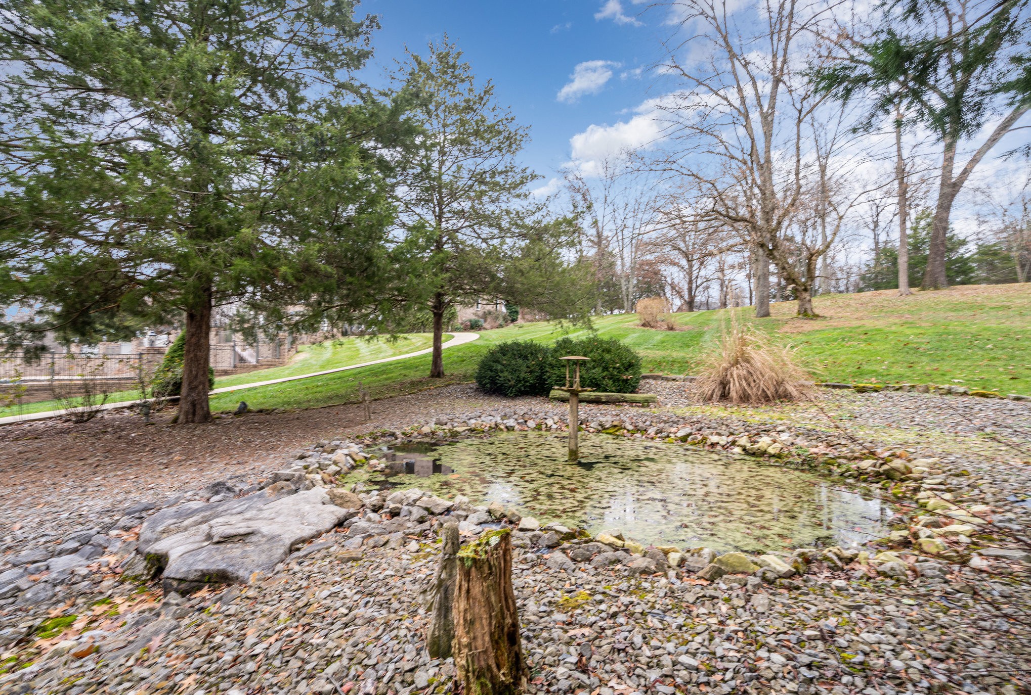 5827 Highway 76 East Springfield, TN 37172 - Photo 56 of 77 a view of a yard with plants and trees