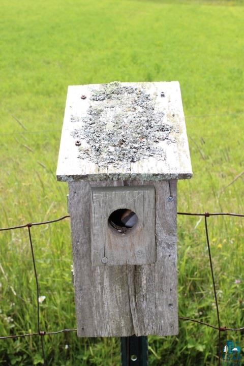 6451 Homestead Road Duluth, MN 55804 - Photo 23 of 24 Gallery Image 23