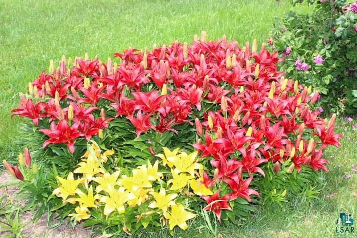 6451 Homestead Road Duluth, MN 55804 - Photo 24 of 24 Gallery Image 24