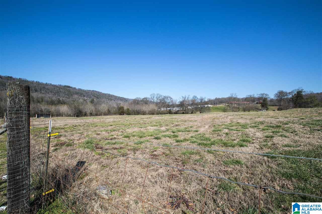435 County Road 42 Oneonta, AL 35121 - Photo 6 of 40