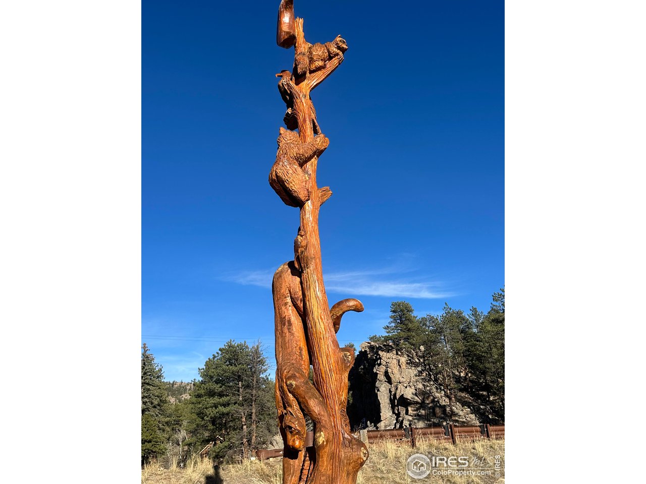 0 Tbd) Pima Road Lyons, CO 80540 - Photo 22 of 31 a view of a pathway