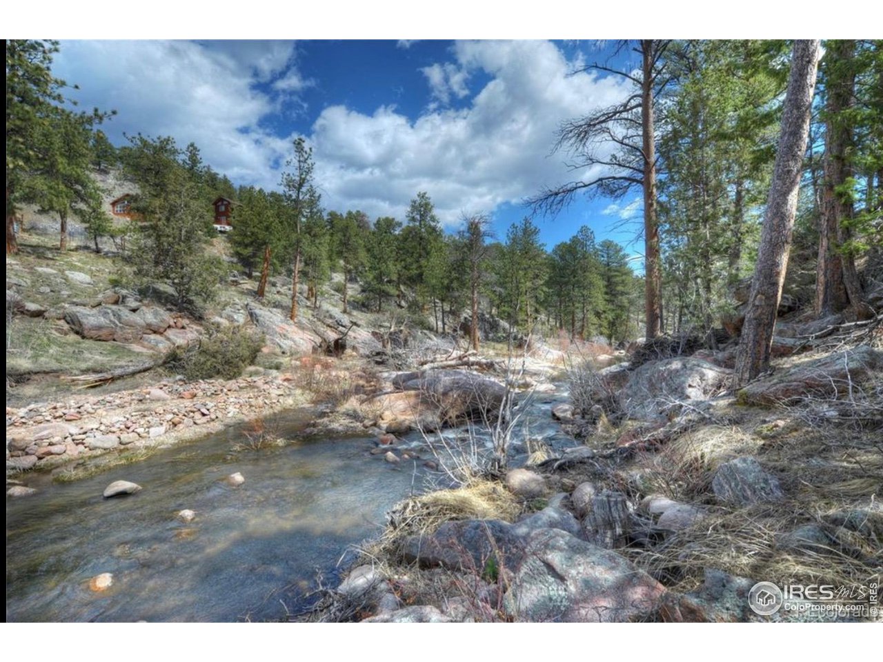 0 Tbd) Pima Road Lyons, CO 80540 - Photo 24 of 31 a view of lot of trees