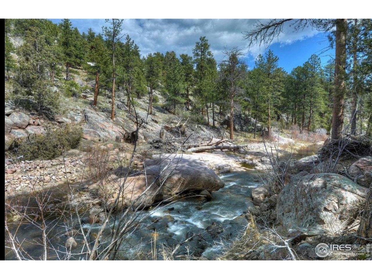 0 Tbd) Pima Road Lyons, CO 80540 - Photo 27 of 31 a view of lot of trees