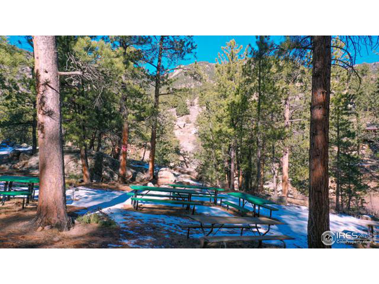 0 Tbd) Pima Road Lyons, CO 80540 - Photo 7 of 31 a black and white photo of a park