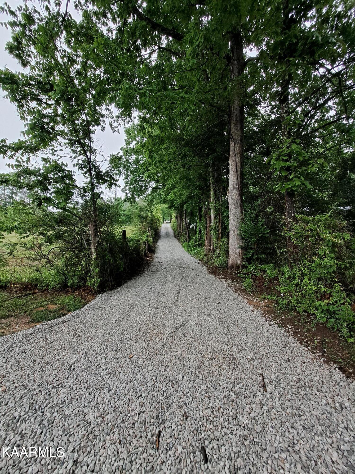 111 Big Spring Road Oneida, TN 37841 - Photo 6 of 57 20230520_184128