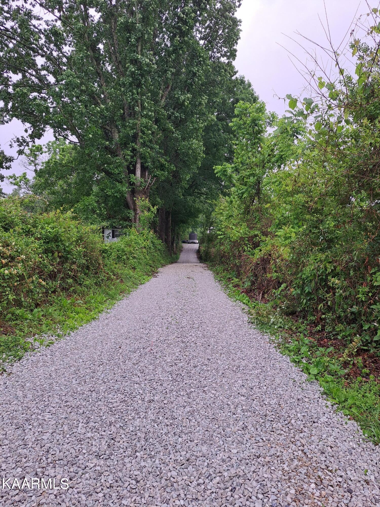111 Big Spring Road Oneida, TN 37841 - Photo 7 of 57 20230520_184426