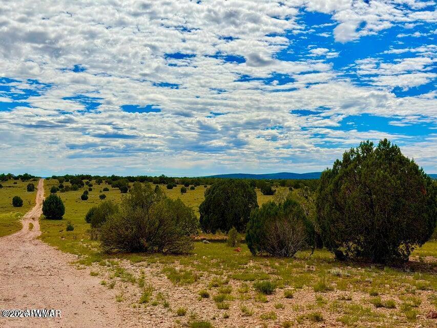 0 Dusty Rose Ranch Road Seligman, AZ 86337 - Photo 8 of 20 Gallery Image 8