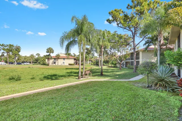 a view of a park with palm trees