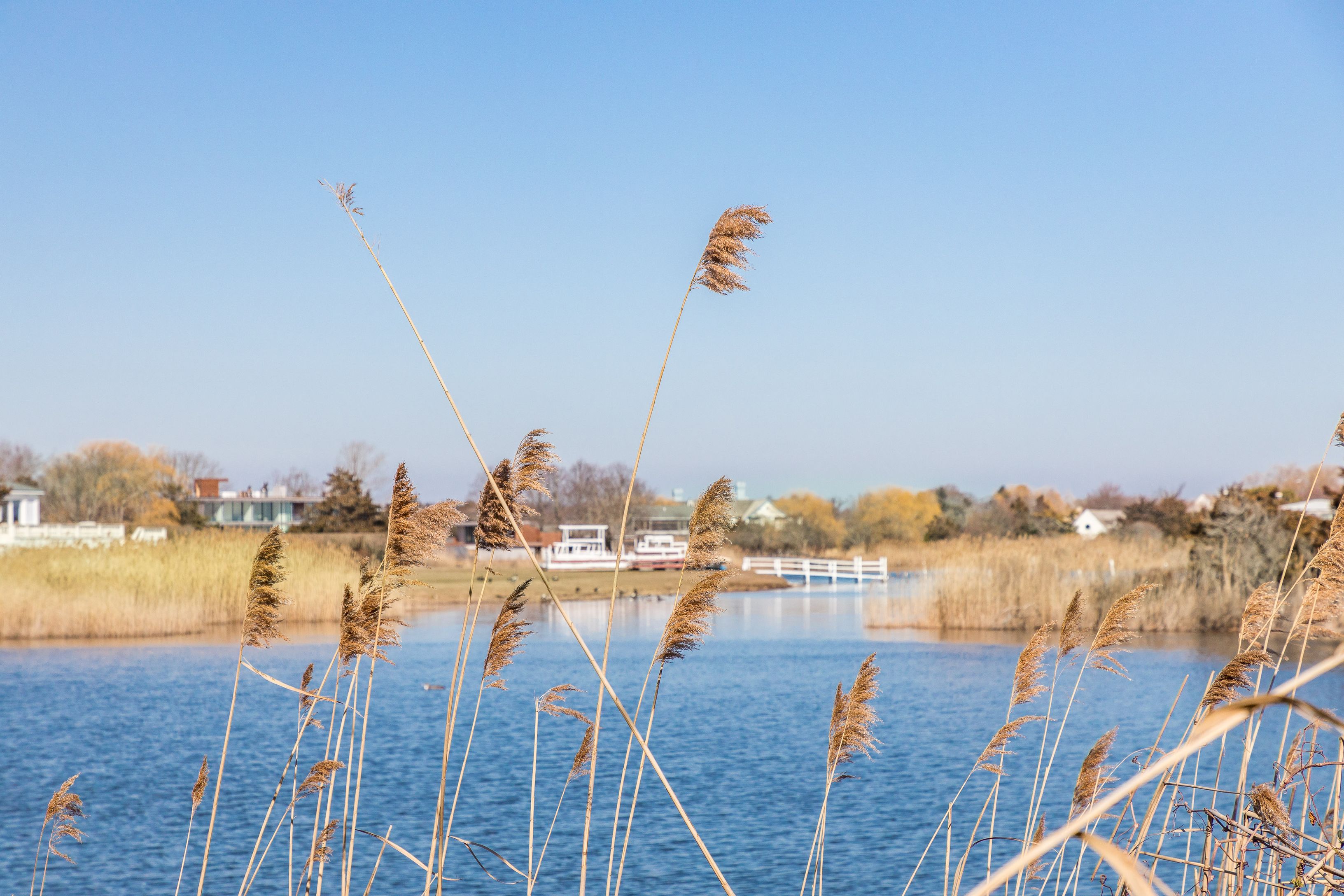 675 Flying Point Road Water Mill, NY 11976 - Photo 48 of 49