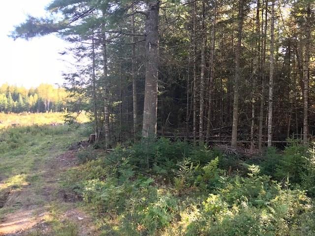 131 Jacob Buck Pond Road Bucksport, ME 04416 - Photo 5 of 11 Photo