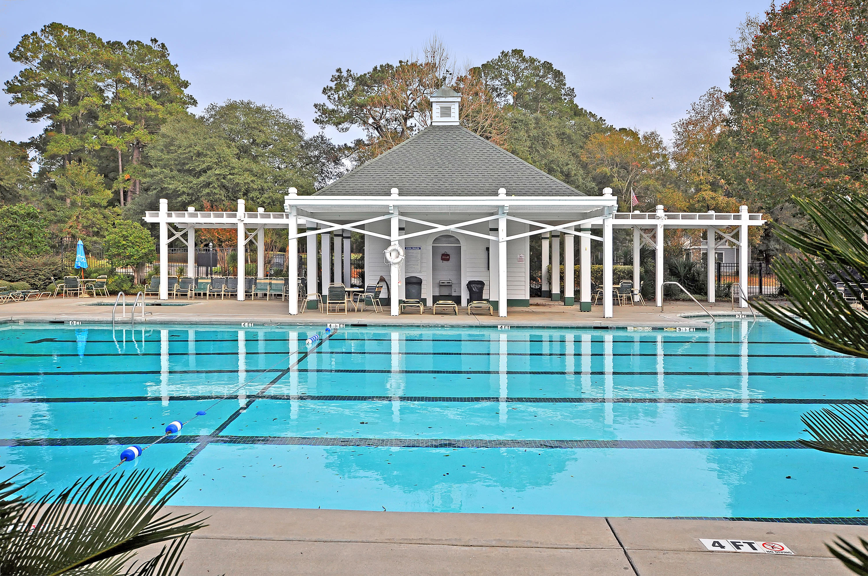 814 Long Drive Road Summerville, SC 29485 - Photo 32 of 34 pool2