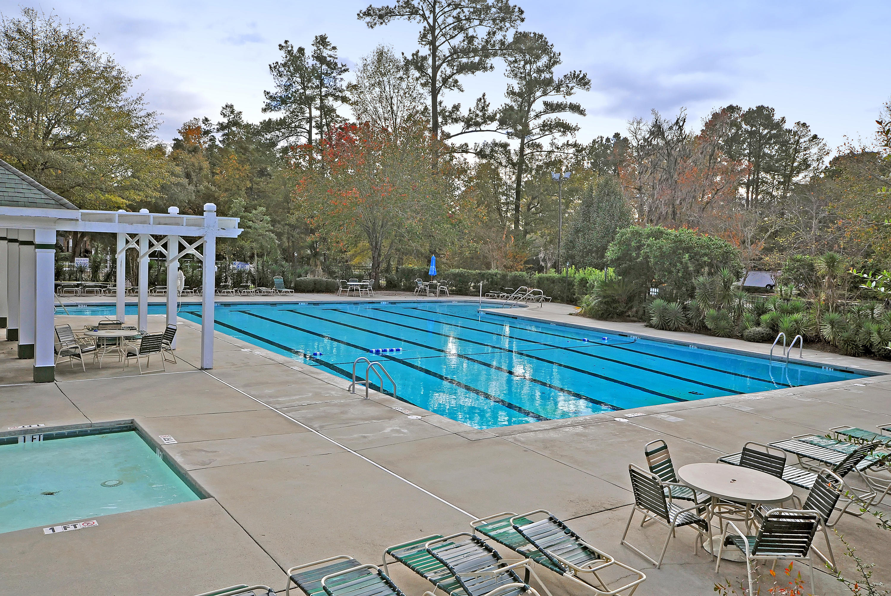 814 Long Drive Road Summerville, SC 29485 - Photo 33 of 34 pool1