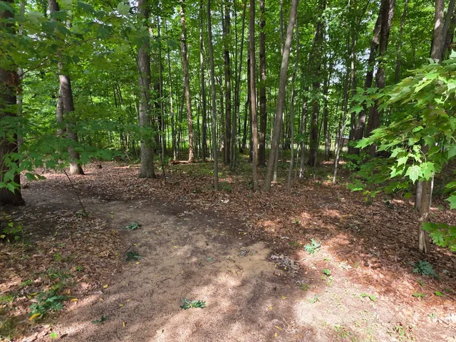 $119,000 | 2300 North 28th Street, Fountain, MI 49410