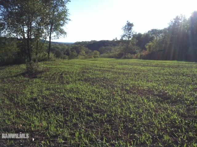 Tbd Law Road Savanna, IL 61074 - Photo 1 of 1 Gallery Image 1