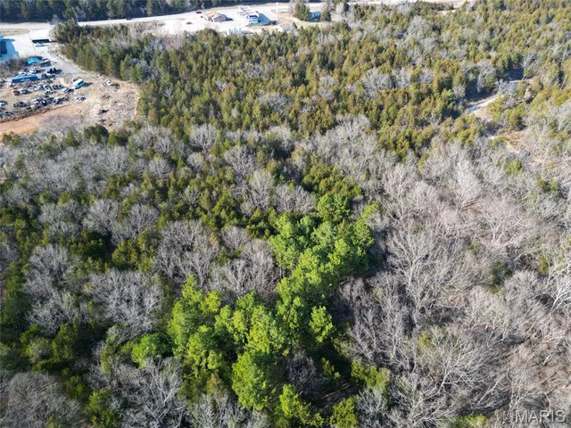 $72,000 | Lot 5 Parkview Drive, Blackwell, MO 63626