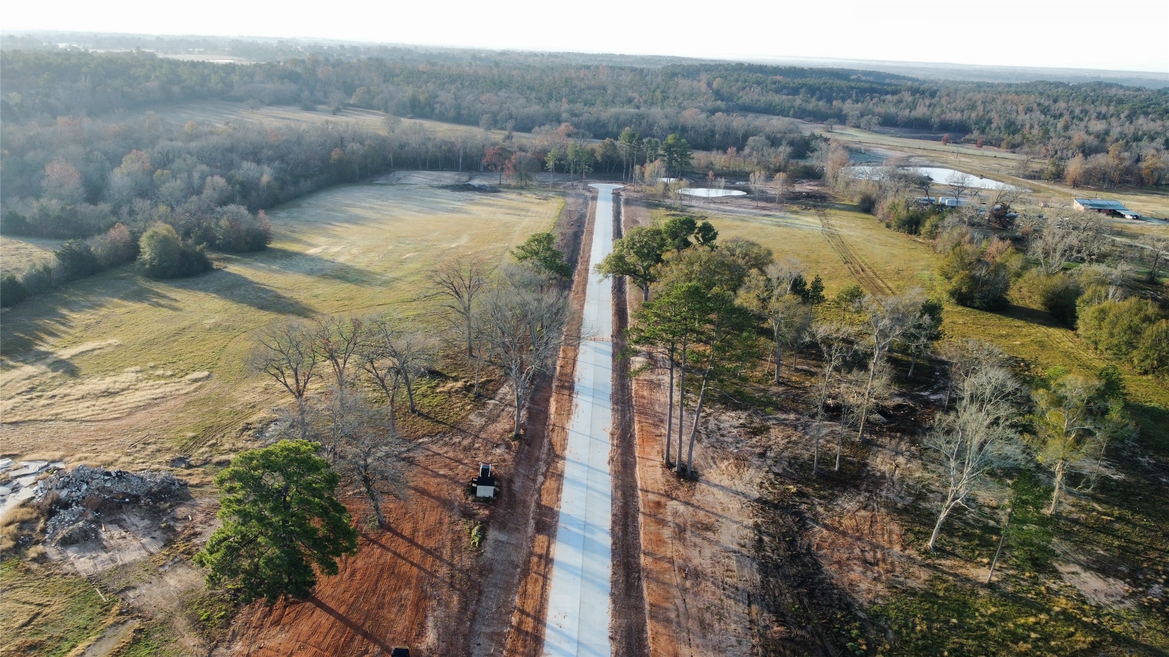 15445 Highlander Court Montgomery, TX 77356 - Photo 7 of 14 a view of a forest with a yard