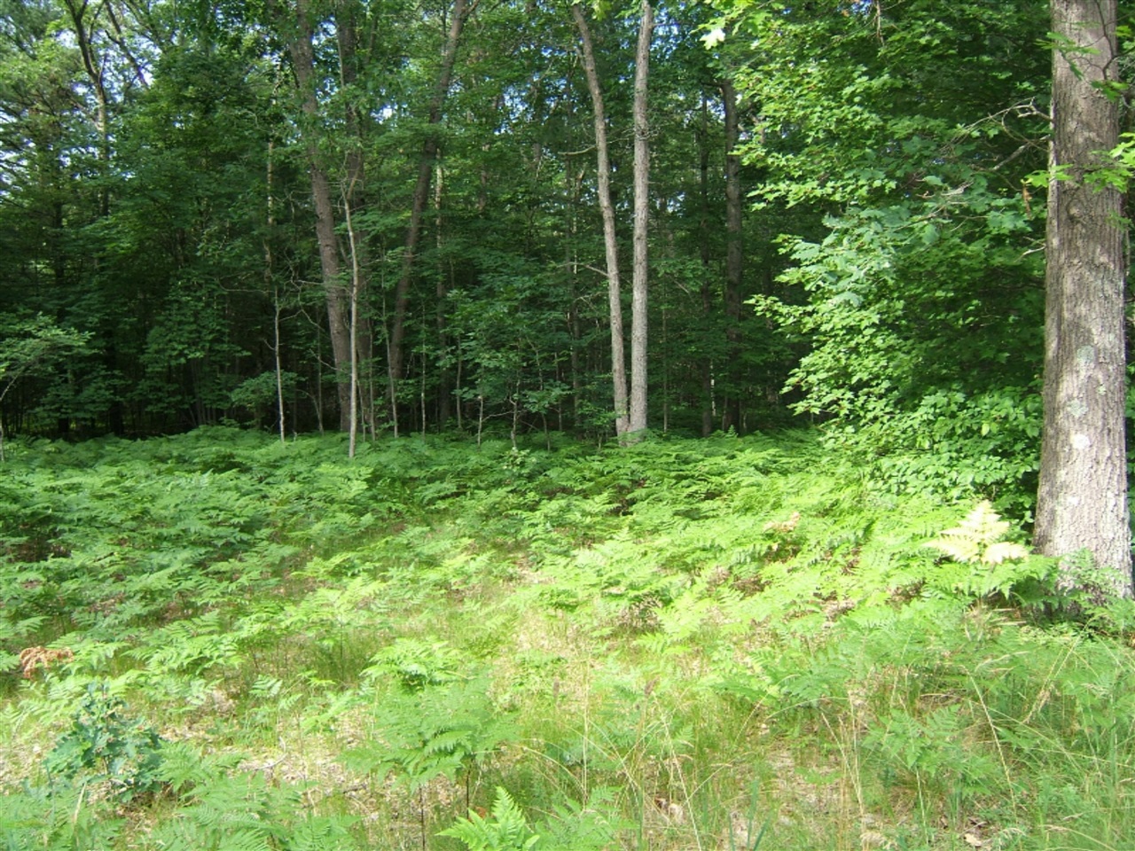 West Bard Road Whitehall, MI 49461 - Photo 3 of 8