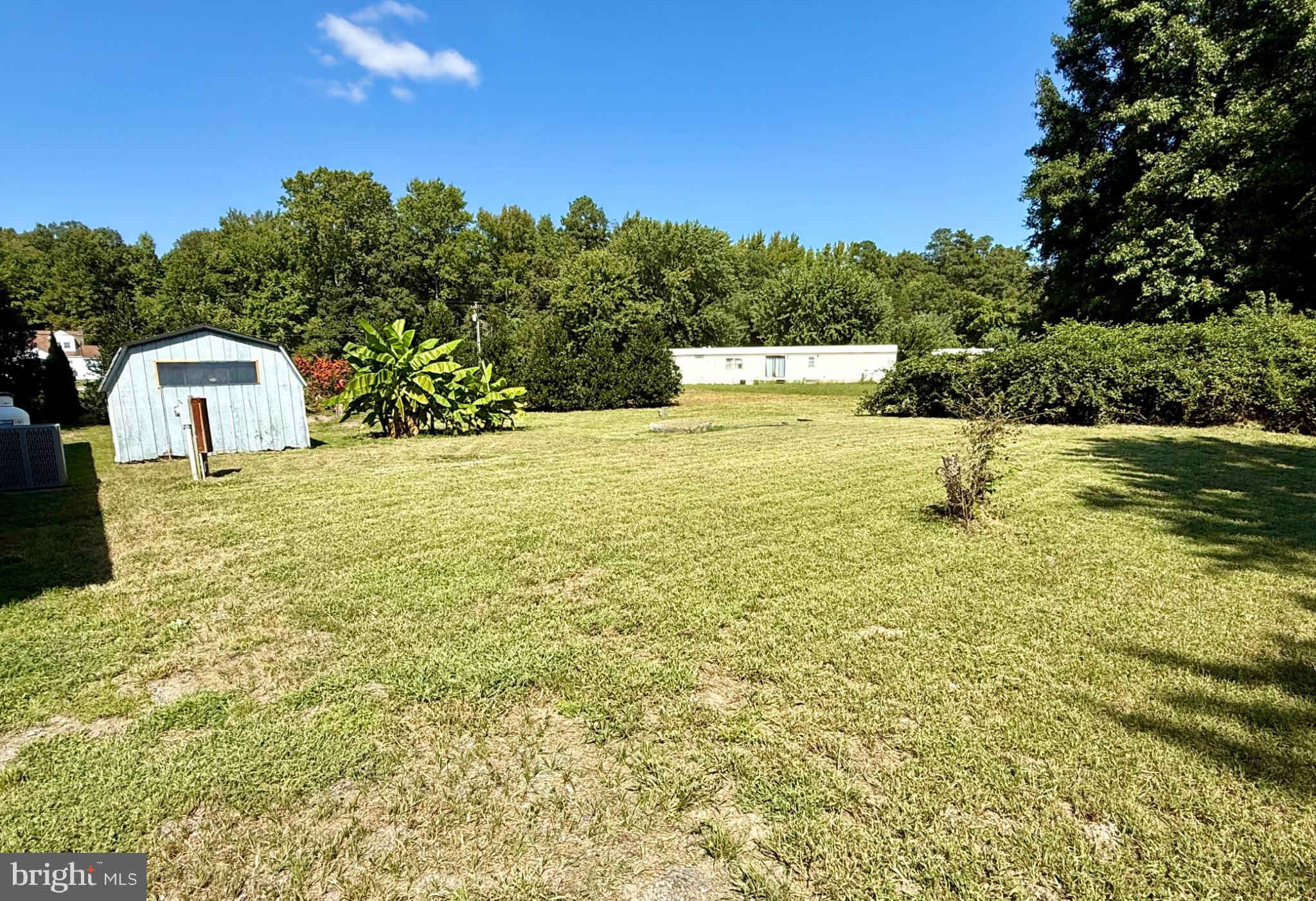 57 Torbert Road Milford, DE 19963 - Photo 4 of 21 Back yard