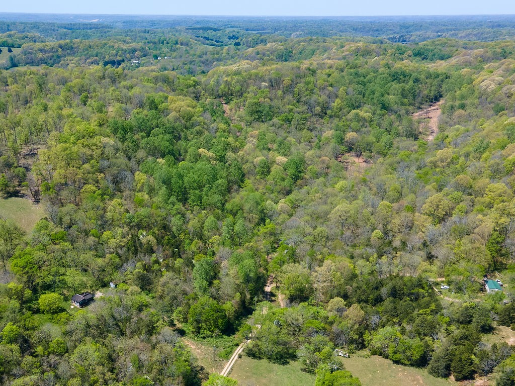 0 Williams Road Cornersville, TN 37047 - Photo 3 of 7 a view of a large yard with lots of trees