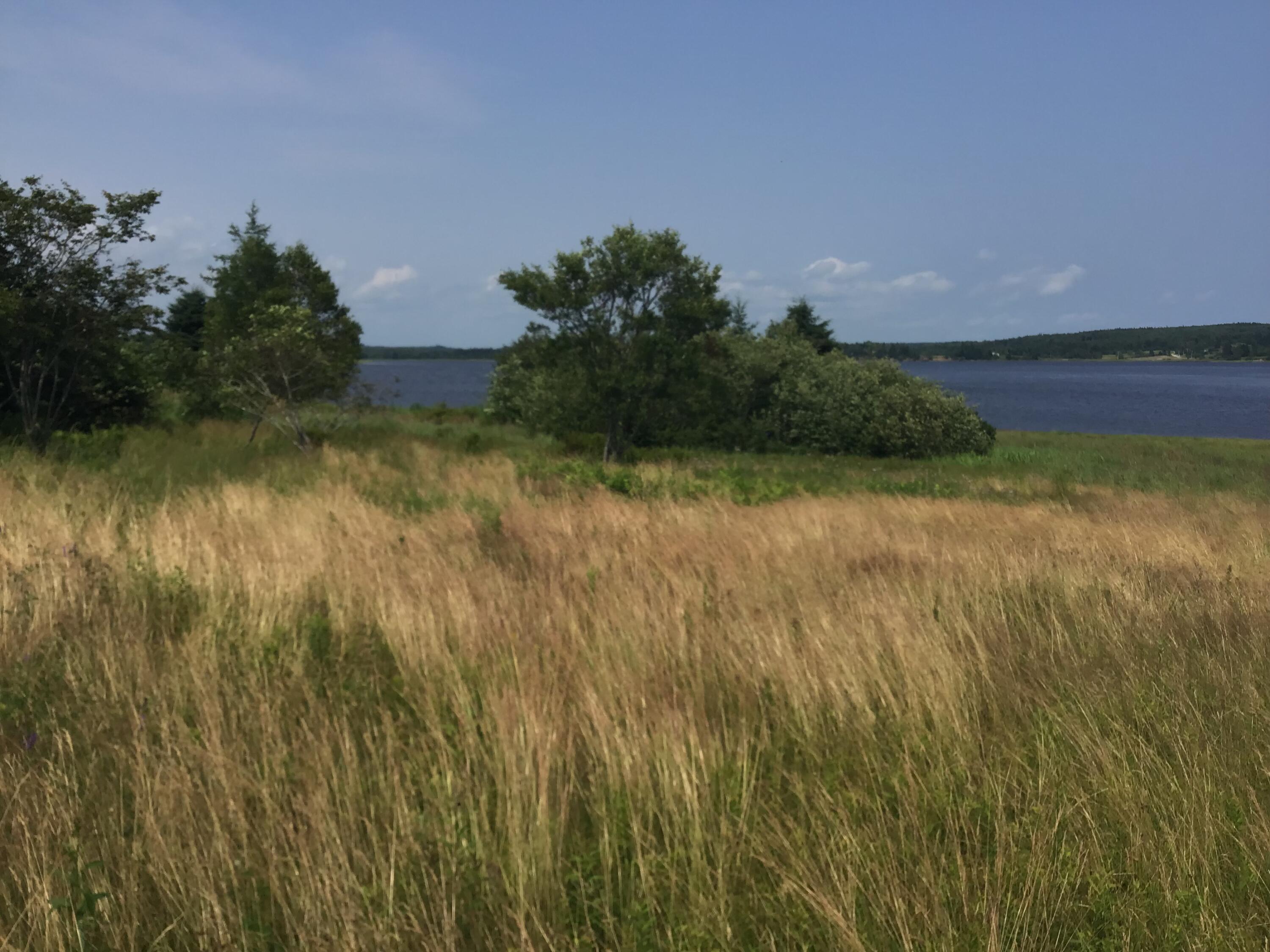 11 West Side Road Addison, ME 04606 - Photo 12 of 12 IMG_5812 (1)