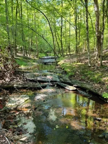 a view of swimming pool with a yard