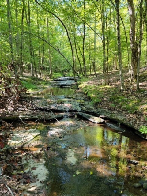 1075 Rose Hill Road Pulaski, TN 38478 - Photo 3 of 11 a view of swimming pool with a yard