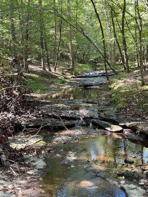 1075 Rose Hill Road Pulaski, TN 38478 - Photo 4 of 11 a view of a lake view