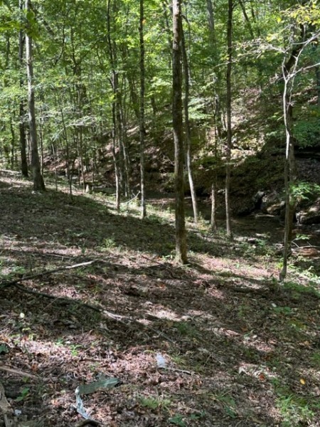 1075 Rose Hill Road Pulaski, TN 38478 - Photo 7 of 11 a backyard of a house with lots of green space