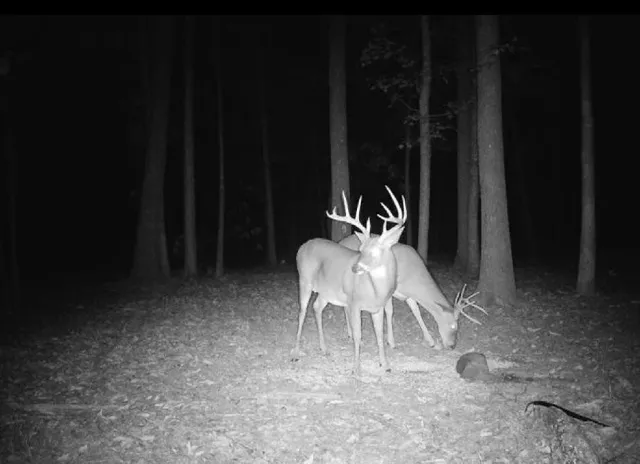 a view of a dinning table and chairs in patio
