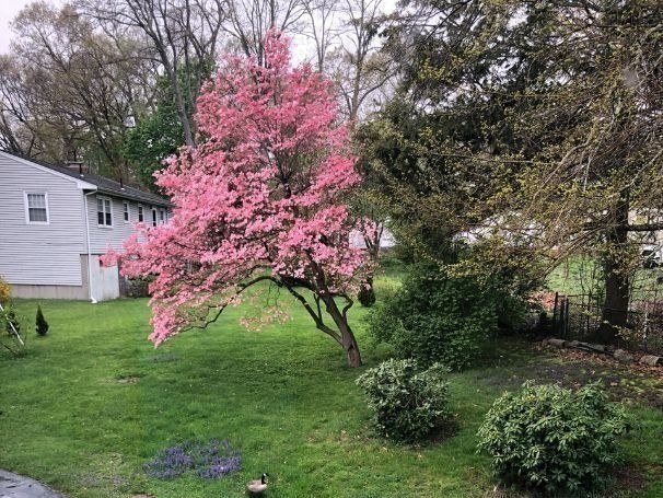 2 Simpson Drive Framingham, MA 01701 - Photo 22 of 22