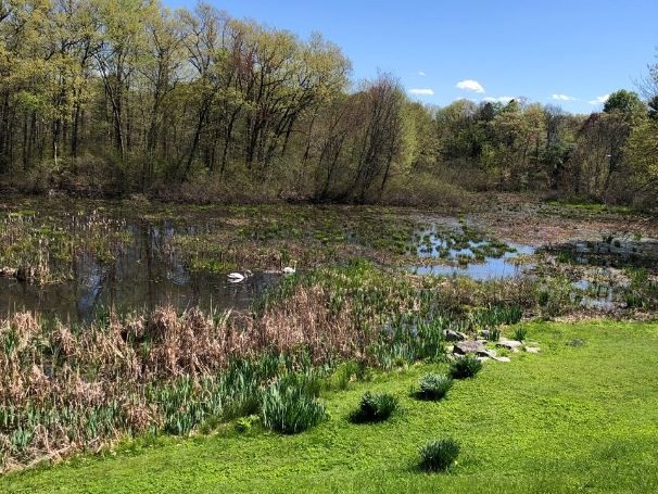 2 Simpson Drive Framingham, MA 01701 - Photo 4 of 22