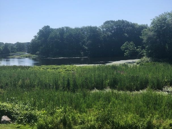 2 Simpson Drive Framingham, MA 01701 - Photo 5 of 22