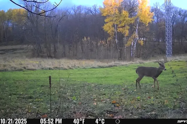 $689,000 | 49236 245th Avenue, Pelican Rapids, MN 56572